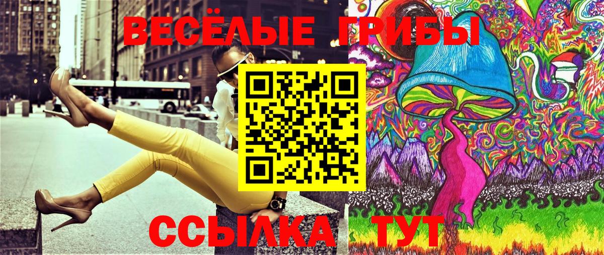 Тейково  как найти   Вход с VPN  Псилоцибиновые грибы прущие грибы 